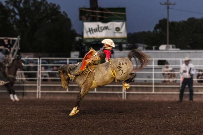 Rodeo-Photography