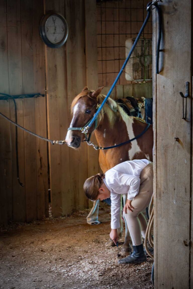 dressage prep