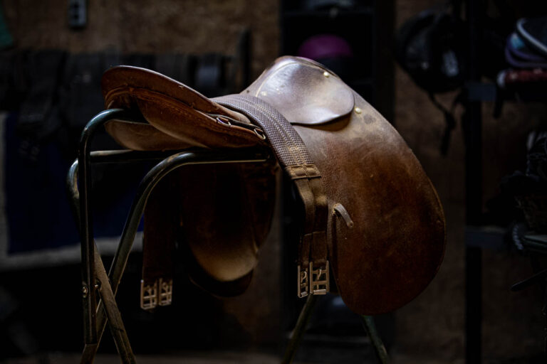 horse saddle