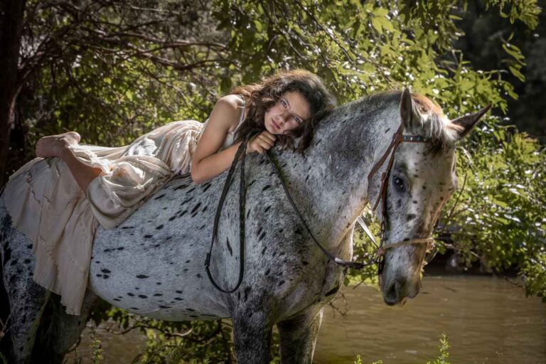 Horse Portraits